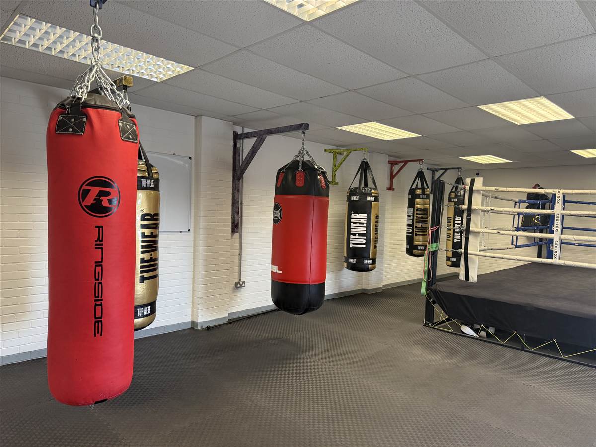 Row of heavy bags at Newpound Boxing Gym