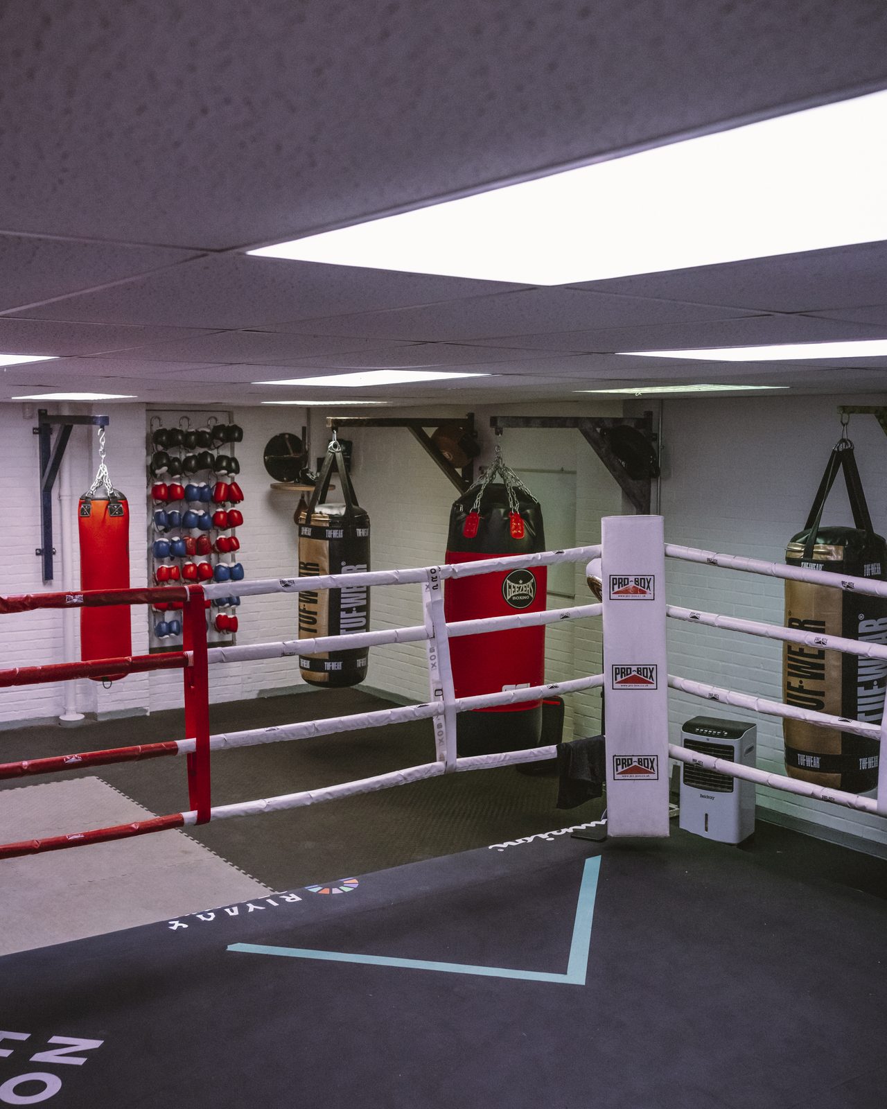 The ring with its new canvas at Newpound Boxing Gym
